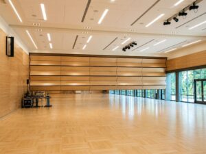 Acoustic Vertical Fold Partition